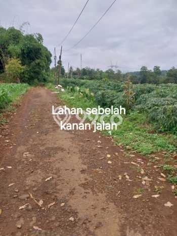 Tanah Strategis Dijual di Pamulihan Sumedang 11200m2 Tanah Strategis Dijual di Pamulihan Sumedang 11200m2