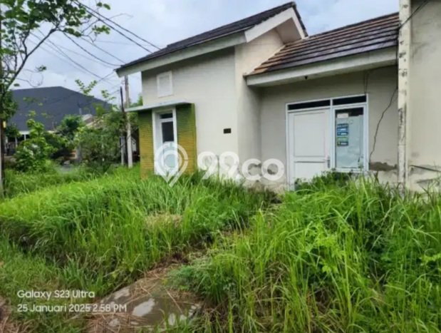 Jual Rumah Harga Miring Jonggol Punya 1 KT & LT 115m2 Jual Rumah Harga Miring Jonggol Punya 1 KT & LT 115m2
