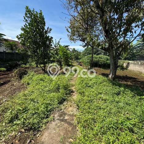 Rumah Sederhana Dijual Lokasi Tanjungsari 5 Kamar dengan LT 1700m2 Rumah Sederhana Dijual Lokasi Tanjungsari 5 Kamar dengan LT 1700m2