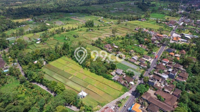 Dijual Tanah 4300m2 di Luwus, Tabanan Dijual Tanah 4300m2 di Luwus, Tabanan