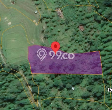 Tanah Kavling di Singaraja Dijual dengan Luas 5000m2 Tanah Kavling di Singaraja Dijual dengan Luas 5000m2