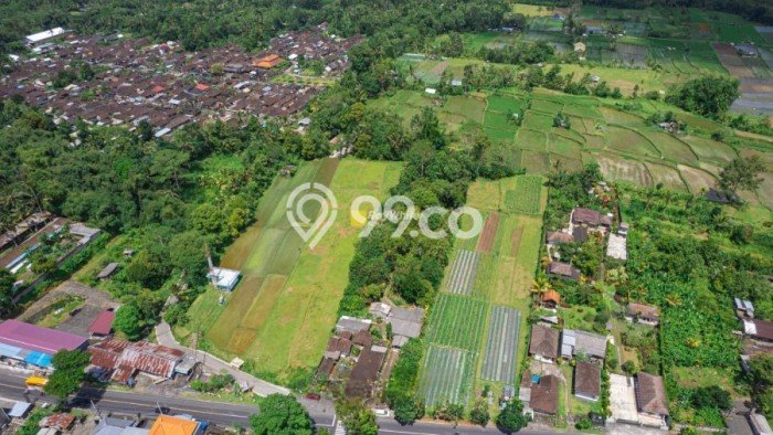 Dijual Tanah 4300m2 di Luwus, Tabanan Dijual Tanah 4300m2 di Luwus, Tabanan
