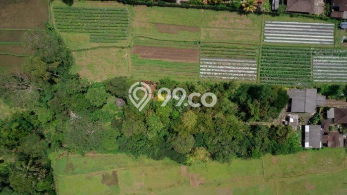 Dijual Tanah 4300m2 di Luwus, Tabanan Dijual Tanah 4300m2 di Luwus, Tabanan