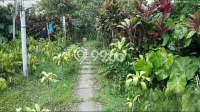 Dijual Tanah 4300m2 di Luwus, Tabanan Dijual Tanah 4300m2 di Luwus, Tabanan