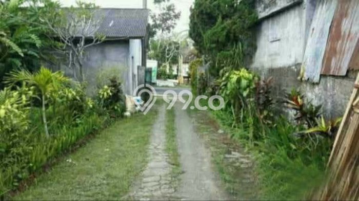 Dijual Tanah 4300m2 di Luwus, Tabanan Dijual Tanah 4300m2 di Luwus, Tabanan