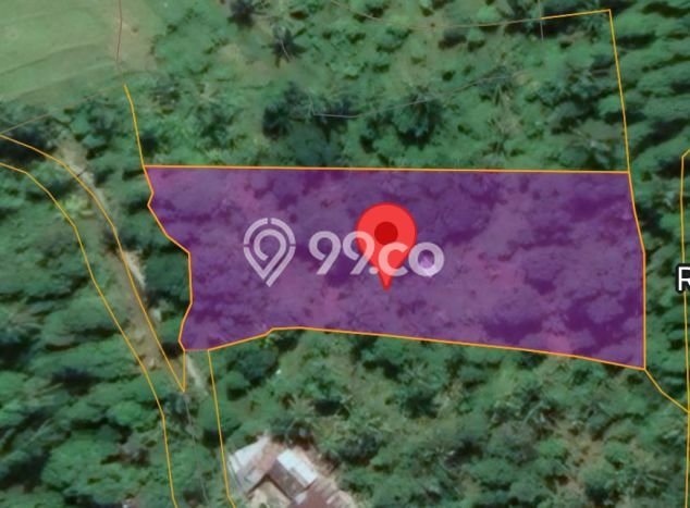 Tanah Kavling di Singaraja Dijual dengan Luas 5000m2 Tanah Kavling di Singaraja Dijual dengan Luas 5000m2