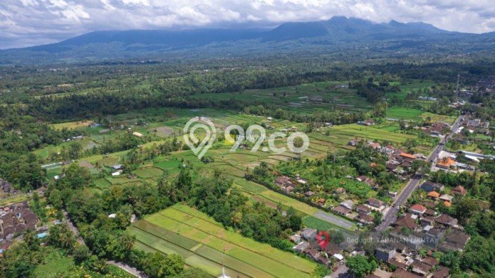 Dijual Tanah 4300m2 di Luwus, Tabanan Dijual Tanah 4300m2 di Luwus, Tabanan