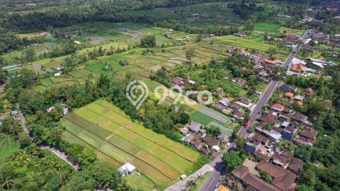 Dijual Tanah 4300m2 di Luwus, Tabanan Dijual Tanah 4300m2 di Luwus, Tabanan