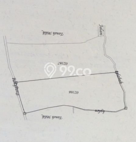 Tanah Kavling di Singaraja Dijual dengan Luas 5000m2 Tanah Kavling di Singaraja Dijual dengan Luas 5000m2