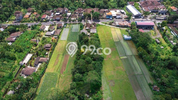 Dijual Tanah 4300m2 di Luwus, Tabanan Dijual Tanah 4300m2 di Luwus, Tabanan