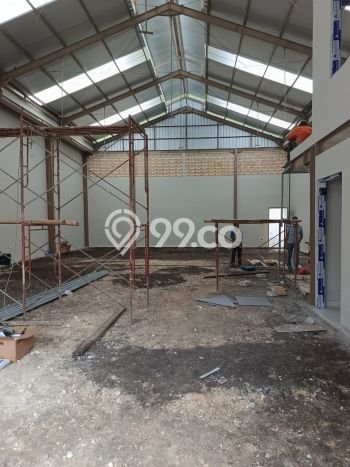 Unit Komersial Disewakan di Denpasar Area Strategis Harga Kompetitif Unit Komersial Disewakan di Denpasar Area Strategis Harga Kompetitif