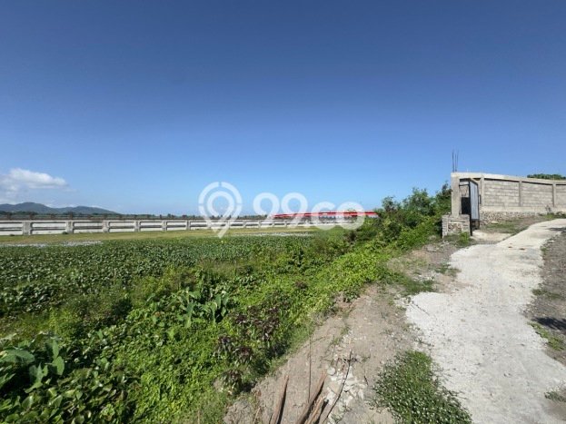 Kavling Tanah di Tangkas Dijual Luas 1100m2 Legalitas SHM Kavling Tanah di Tangkas Dijual Luas 1100m2 Legalitas SHM