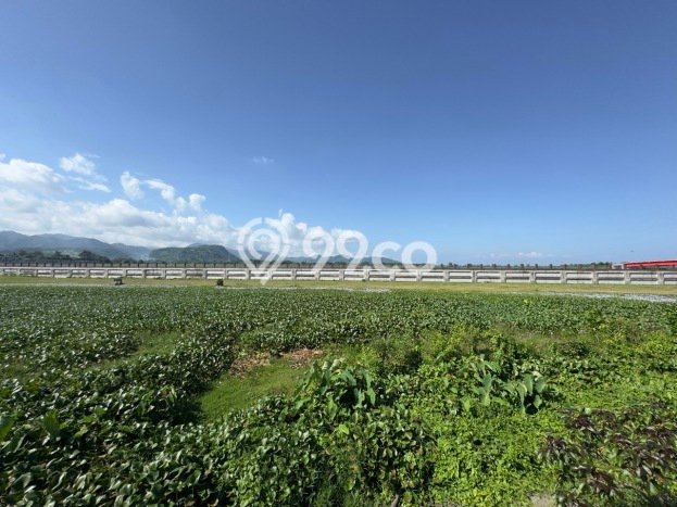Kavling Tanah di Tangkas Dijual Luas 1100m2 Legalitas SHM Kavling Tanah di Tangkas Dijual Luas 1100m2 Legalitas SHM