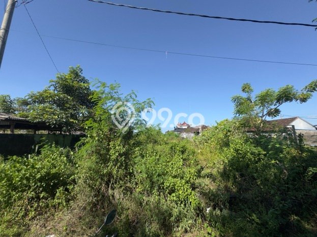 Kavling Tanah di Tangkas Dijual Luas 1100m2 Legalitas SHM Kavling Tanah di Tangkas Dijual Luas 1100m2 Legalitas SHM