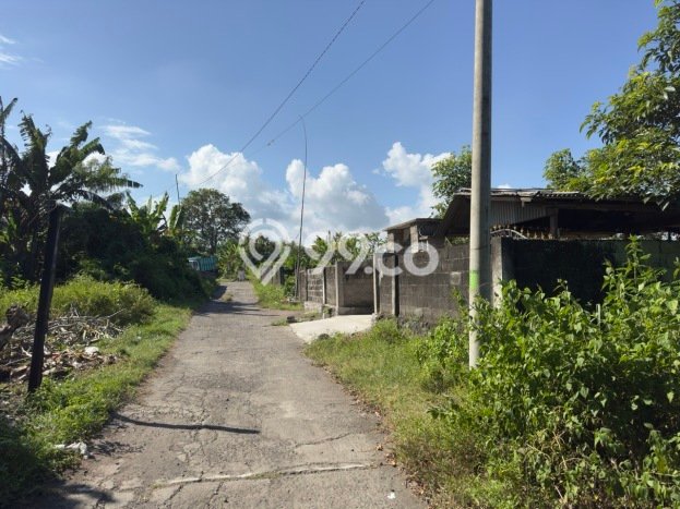 Kavling Tanah di Tangkas Dijual Luas 1100m2 Legalitas SHM Kavling Tanah di Tangkas Dijual Luas 1100m2 Legalitas SHM