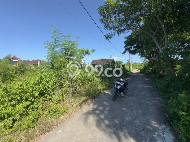 Kavling Tanah di Tangkas Dijual Luas 1100m2 Legalitas SHM Kavling Tanah di Tangkas Dijual Luas 1100m2 Legalitas SHM
