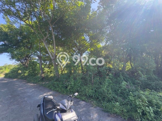 Kavling Tanah di Tangkas Dijual Luas 1100m2 Legalitas SHM Kavling Tanah di Tangkas Dijual Luas 1100m2 Legalitas SHM