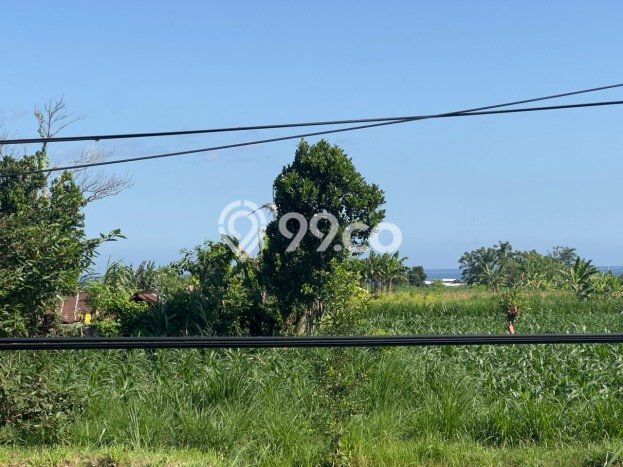 Tanah Strategis Dijual di Gelgel Semarapura 2975m2 Tanah Strategis Dijual di Gelgel Semarapura 2975m2