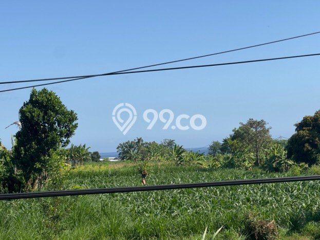 Tanah Strategis Dijual di Gelgel Semarapura 2975m2 Tanah Strategis Dijual di Gelgel Semarapura 2975m2