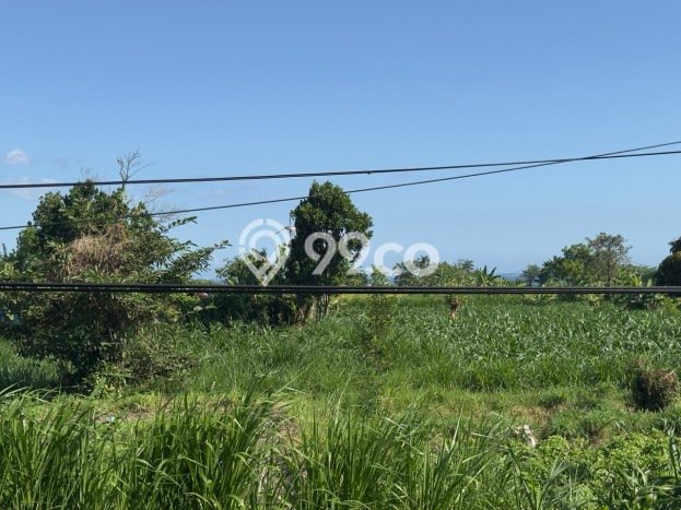Tanah Strategis Dijual di Gelgel Semarapura 2975m2 Tanah Strategis Dijual di Gelgel Semarapura 2975m2