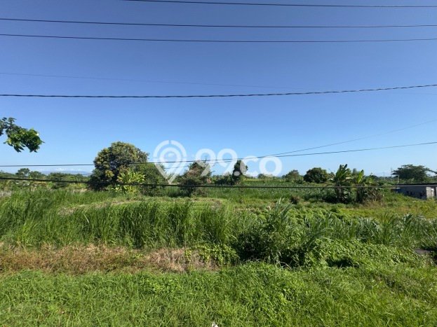 Tanah Strategis Dijual di Gelgel Semarapura 2975m2 Tanah Strategis Dijual di Gelgel Semarapura 2975m2