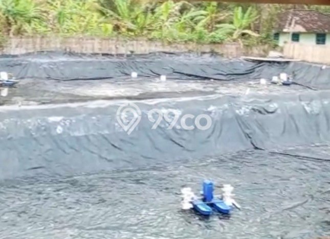Lahan Kosong Dijual di Jembrana dengan Area 4500m2 Lahan Kosong Dijual di Jembrana dengan Area 4500m2
