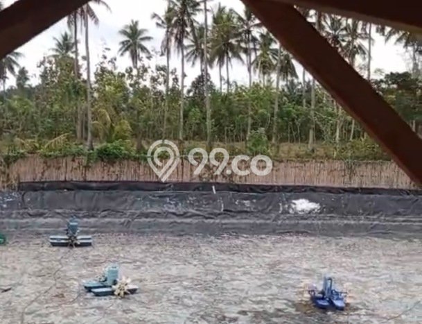 Lahan Kosong Dijual di Jembrana dengan Area 4500m2 Lahan Kosong Dijual di Jembrana dengan Area 4500m2