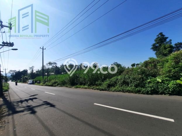 Tanah Strategis Dijual di Ampel Boyolali 13378m2 Tanah Strategis Dijual di Ampel Boyolali 13378m2