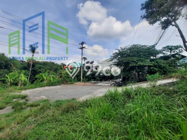 Untuk Dijual Tanah di Ampel Boyolali Luas 2432m2 SHM Untuk Dijual Tanah di Ampel Boyolali Luas 2432m2 SHM