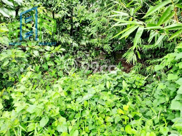 Tanah untuk Dijual di Banyudono Boyolali Luas 1964m2 Tanah untuk Dijual di Banyudono Boyolali Luas 1964m2