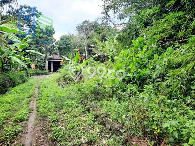 Kavling Tanah Dijual di Mojosongo, Boyolali, Luas 637m2 Area Strategis Kavling Tanah Dijual di Mojosongo, Boyolali, Luas 637m2 Area Strategis