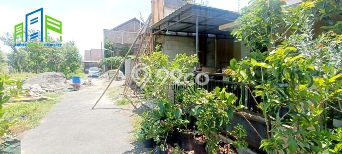 Rumah Minimalis Terbaik Siap Huni Area Mojosongo LT 103m2 Rumah Minimalis Terbaik Siap Huni Area Mojosongo LT 103m2