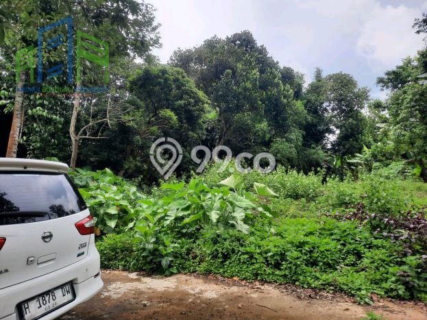 Tanah Dijual Lokasi Banyudono, Boyolali dengan Luas Tanah 260m2 dan Status SHM Tanah Dijual Lokasi Banyudono, Boyolali dengan Luas Tanah 260m2 dan Status SHM