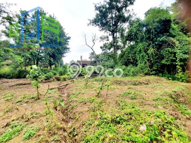 Tanah untuk Dijual di Banyudono Boyolali Luas 1964m2 Tanah untuk Dijual di Banyudono Boyolali Luas 1964m2