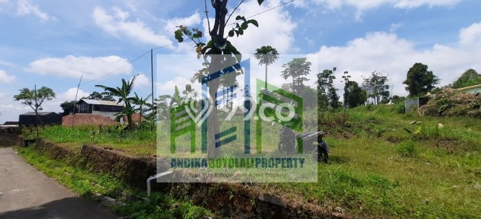 Jarang Ada! Tanah di Cepogo Punya Luas 2480m2 SHM Jarang Ada! Tanah di Cepogo Punya Luas 2480m2 SHM