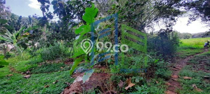 Tanah Kavling untuk Dijual di Klego Boyolali 1521m2 Tanah Kavling untuk Dijual di Klego Boyolali 1521m2
