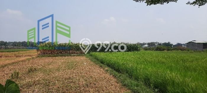 Tanah untuk Dijual Lokasi Polanharjo, Klaten Luas 1675m2 SHM Tanah untuk Dijual Lokasi Polanharjo, Klaten Luas 1675m2 SHM