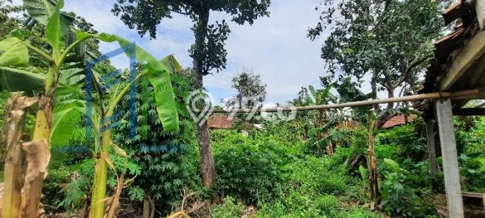 Lahan Kosong Dijual di Boyolali dengan Area 939m2 Lahan Kosong Dijual di Boyolali dengan Area 939m2
