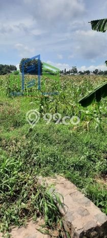 Tanah Dijual Lokasi Banyudono Boyolali SHM Tanah Dijual Lokasi Banyudono Boyolali SHM