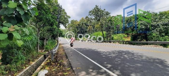 Jarang Ada! Tanah di Ampel Punya Luas 1238m2 SHM Jarang Ada! Tanah di Ampel Punya Luas 1238m2 SHM