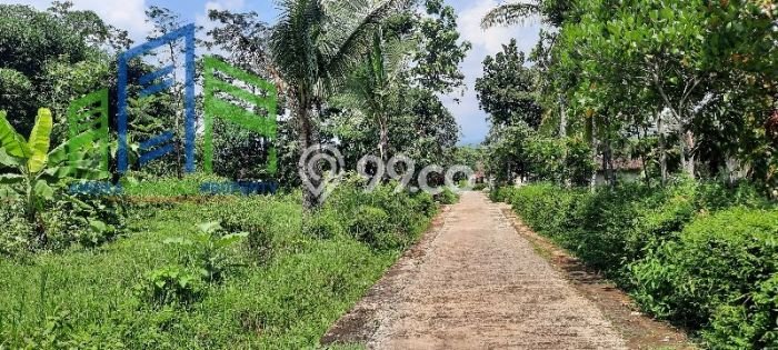 Tanah Kavling untuk Dijual di Mojosongo Boyolali 1302m2 Tanah Kavling untuk Dijual di Mojosongo Boyolali 1302m2