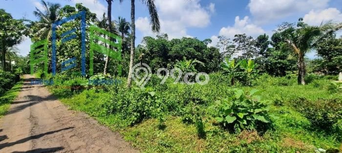 Tanah Kavling untuk Dijual di Mojosongo Boyolali 1302m2 Tanah Kavling untuk Dijual di Mojosongo Boyolali 1302m2