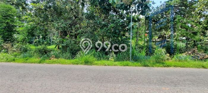 Tanah Kavling Dijual di Boyolali Kota, Boyolali dengan Luas Tanah 1560m2 Tanah Kavling Dijual di Boyolali Kota, Boyolali dengan Luas Tanah 1560m2