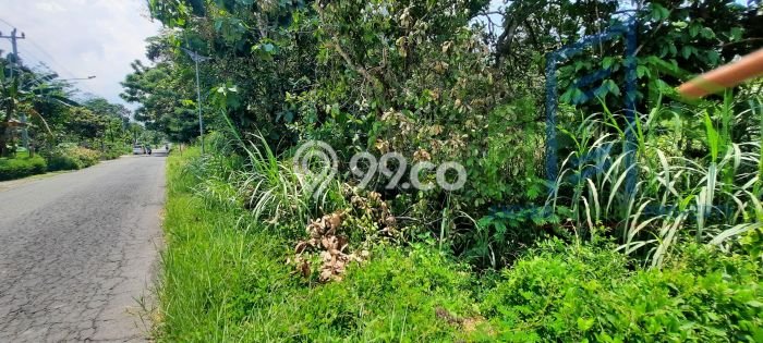 Tanah Kavling Dijual di Boyolali Kota, Boyolali dengan Luas Tanah 1560m2 Tanah Kavling Dijual di Boyolali Kota, Boyolali dengan Luas Tanah 1560m2