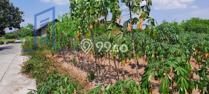 Lahan Strategis di Teras Dijual dengan Luas 2684m2 Lahan Strategis di Teras Dijual dengan Luas 2684m2