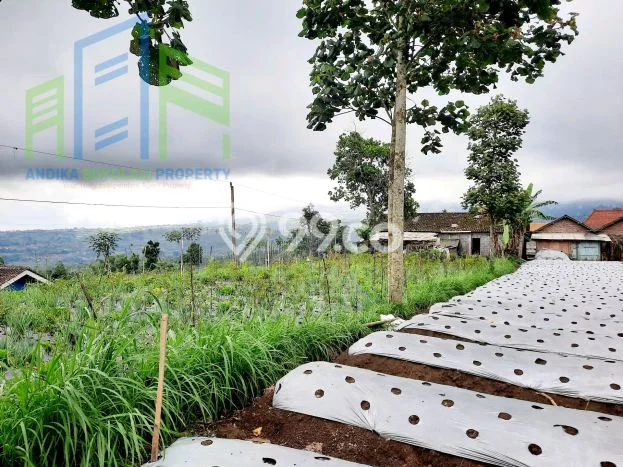 Kavling Tanah Dijual di Selo Boyolali Spesifikasi 820m2 Kavling Tanah Dijual di Selo Boyolali Spesifikasi 820m2