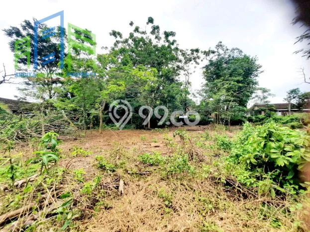 Tanah untuk Dijual di Banyudono Boyolali Luas 1964m2 Tanah untuk Dijual di Banyudono Boyolali Luas 1964m2