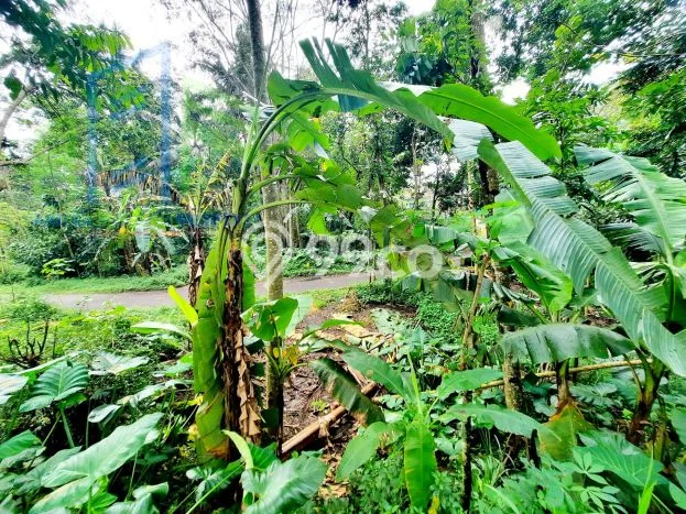 Lahan Dijual Lokasi Ampel, Boyolali dengan Luas Tanah 1882m2 dan Status SHM Lahan Dijual Lokasi Ampel, Boyolali dengan Luas Tanah 1882m2 dan Status SHM