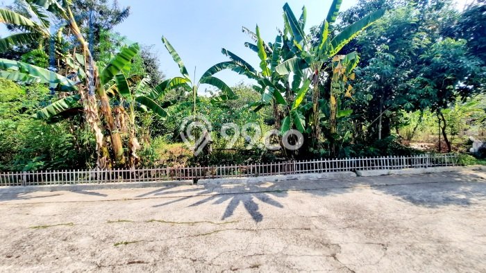 Tanah Dijual di Boyolali Seluas 898m2 Strategis Tanah Dijual di Boyolali Seluas 898m2 Strategis