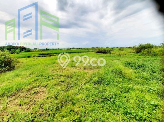 Kavling Tanah Dijual di Banyudono Boyolali Spesifikasi 2150m2 Kavling Tanah Dijual di Banyudono Boyolali Spesifikasi 2150m2